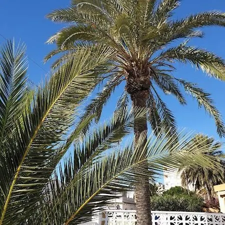 Moderne Finca In Ruhiger Lage - Freistehend * تورّيفيِخا